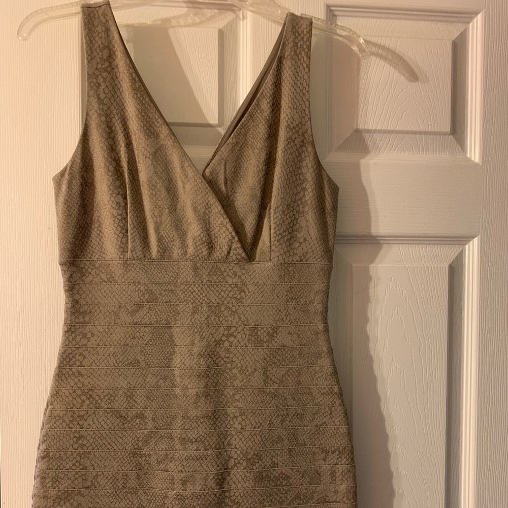 Shimmer bandage dress from Express.  Great for holidays and cocktail hour